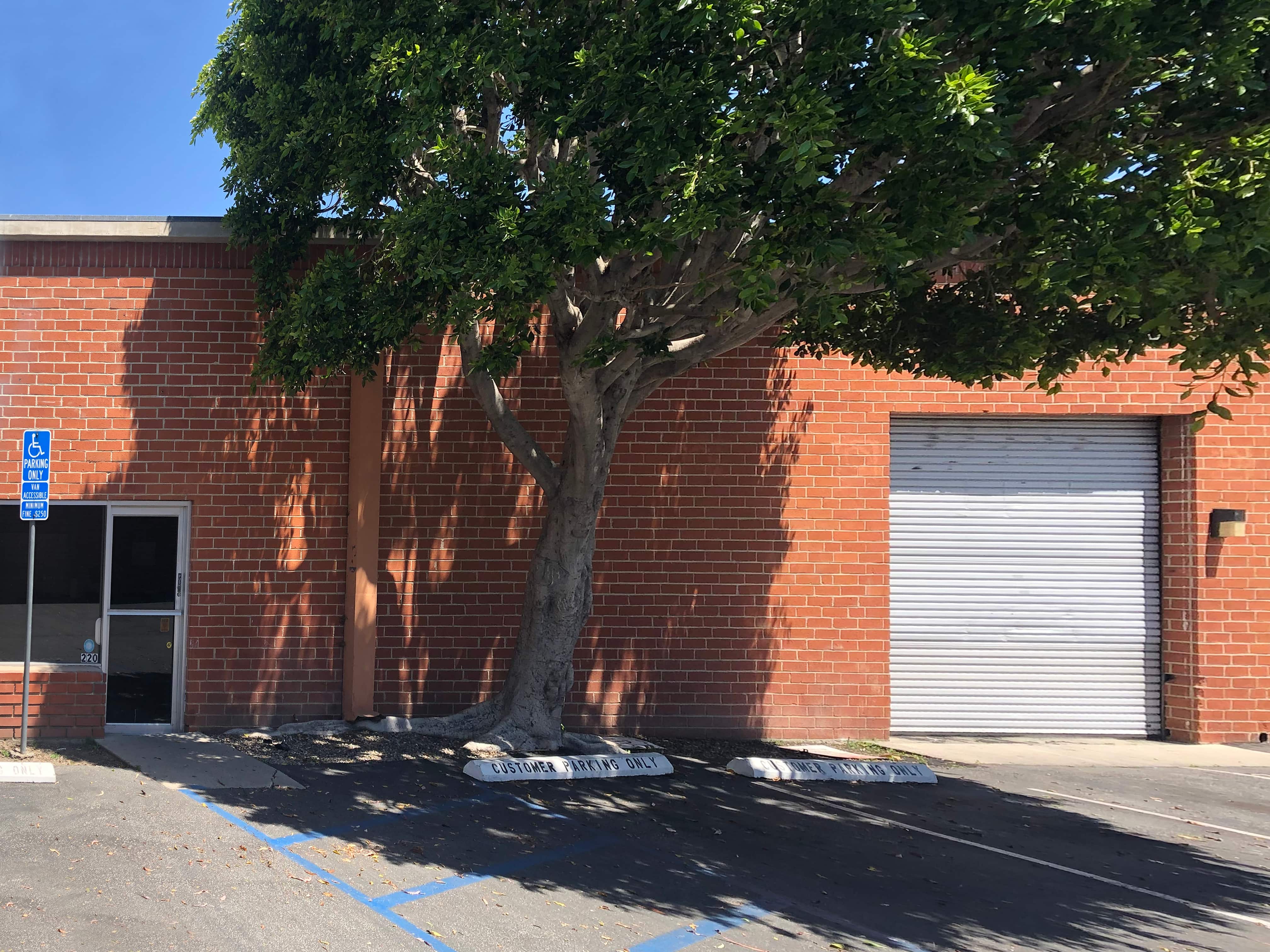 Exterior roll-up door of Unit 220 beside the parking area